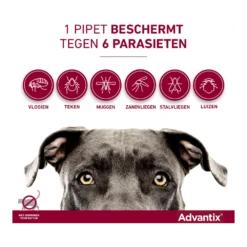 Advantix Spot On 600 - 40-60kg - 6ml - Anti Vlooien En Tekenmiddel - 4 Pipetten -Pet Planet Verkoop advantix spot on 4 1