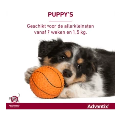 Advantix Spot On 600 - 40-60kg - 6ml - Anti Vlooien En Tekenmiddel - 4 Pipetten -Pet Planet Verkoop advantix spot on 5 1