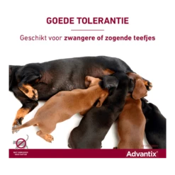 Advantix Spot On 600 - 40-60kg - 6ml - Anti Vlooien En Tekenmiddel - 4 Pipetten -Pet Planet Verkoop advantix spot on 6 1