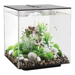 Aquarium BiOrb Cube 60L LED - Zwart