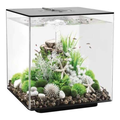 Aquarium BiOrb Cube 60L LED - Zwart -Pet Planet Verkoop aquarium biorb cube 60l led zwart 1 3