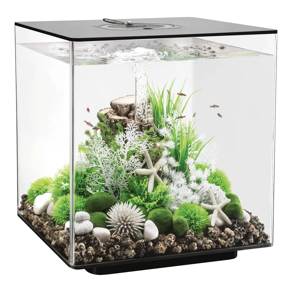 Aquarium BiOrb Cube 60L LED - Zwart 3 Aquarium BiOrb Cube 60L LED - Zwart