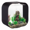 Aquarium BiOrb Life 30L MCR - Zwart -Pet Planet Verkoop aquarium biorb life 30l mcr zwart 1 3