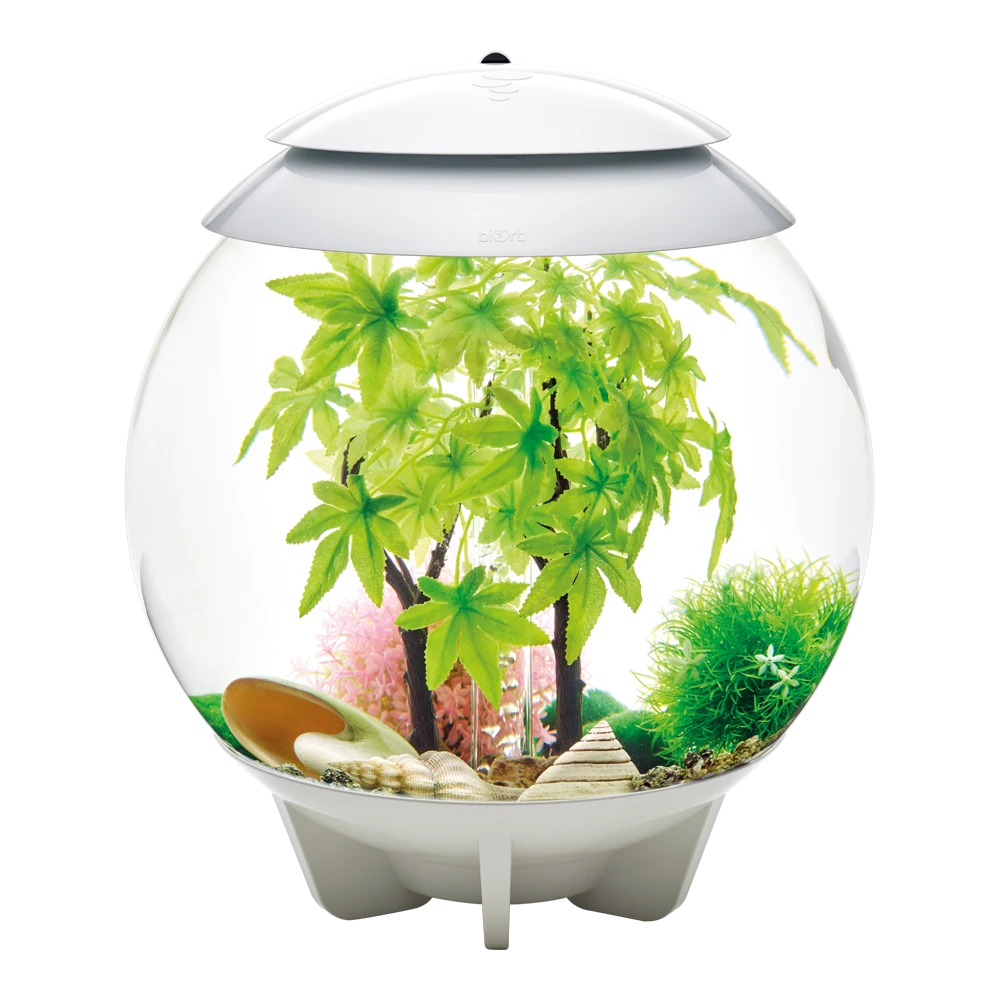 BiOrb Decor Set - 30L - Zomer 5 BiOrb Decor Set - 30L - Zomer - Afbeelding 3