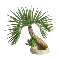 BiOrb Palmboom Seychelles - S