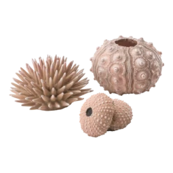 BiOrb Zee-egel Set - Naturel