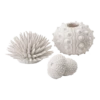 BiOrb Zee-egel Set - Wit -Pet Planet Verkoop biorb zee egel set wit 1 1