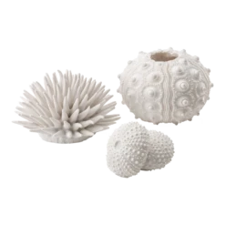 BiOrb Zee-egel Set - Wit
