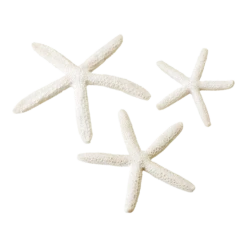 BiOrb Zeester Set 3 - Wit