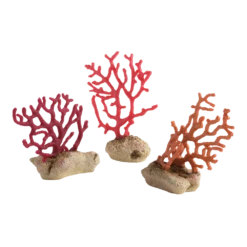 BiOrb Zweepkoraal Set