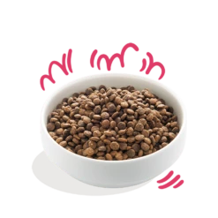 Edgard & Cooper - Verse Rund & Kip - Volwassen - Hondenvoer - 7kg 7 Edgard & Cooper - Verse Rund & Kip - Volwassen - Hondenvoer - 7kg -Pet Planet Verkoop edgard cooper biorund biokip volwassen hondenvoer 7kg 6 1