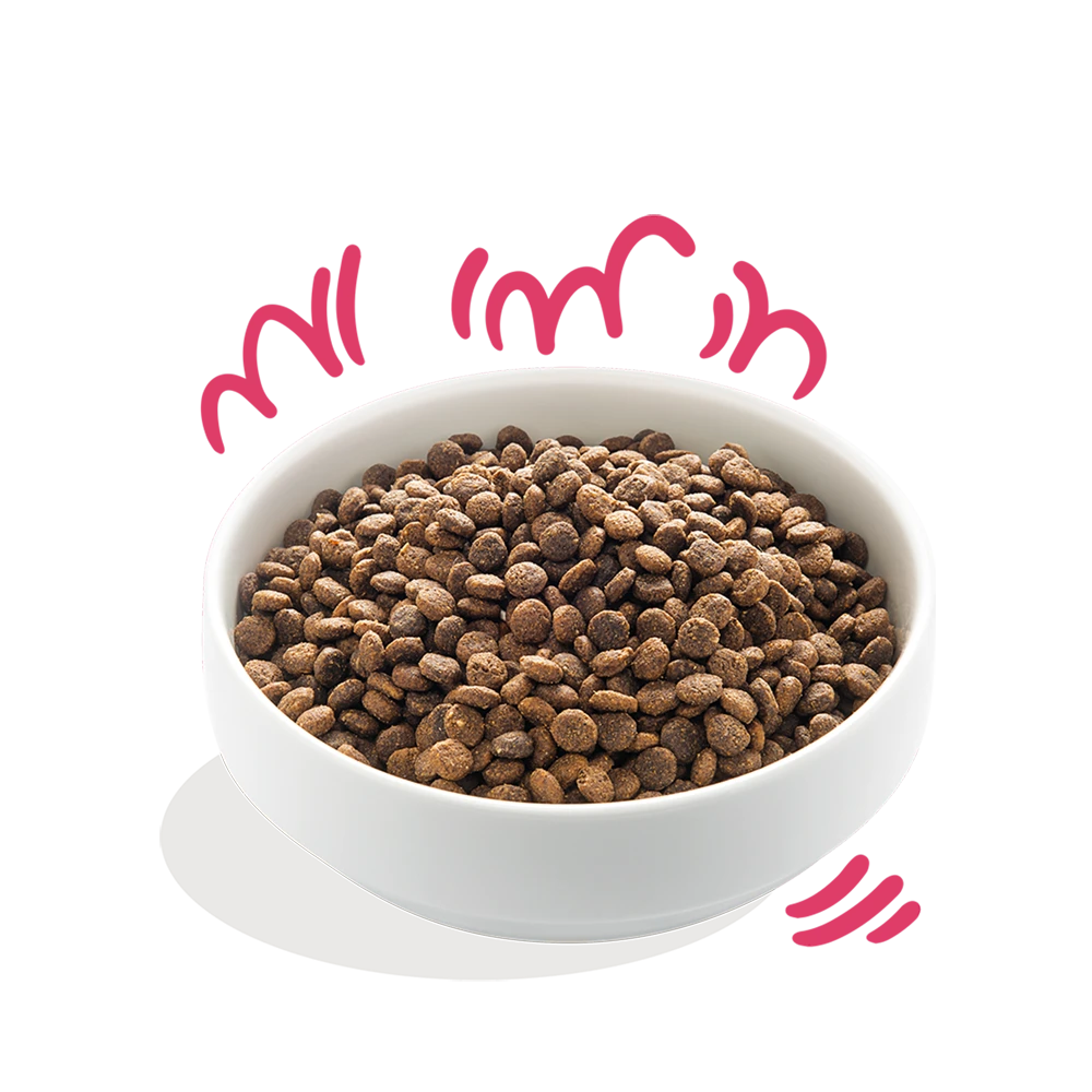 Edgard & Cooper - Verse Rund & Kip - Volwassen - Hondenvoer - 7kg 5 Edgard & Cooper - Verse Rund & Kip - Volwassen - Hondenvoer - 7kg - Afbeelding 3