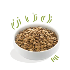 Edgard & Cooper - Verse Graslam - Volwassen - Hondenvoer - 12kg 7 Edgard & Cooper - Verse Graslam - Volwassen - Hondenvoer - 12kg -Pet Planet Verkoop edgard cooper graslam volwassen hondenvoer 12kg 6 1