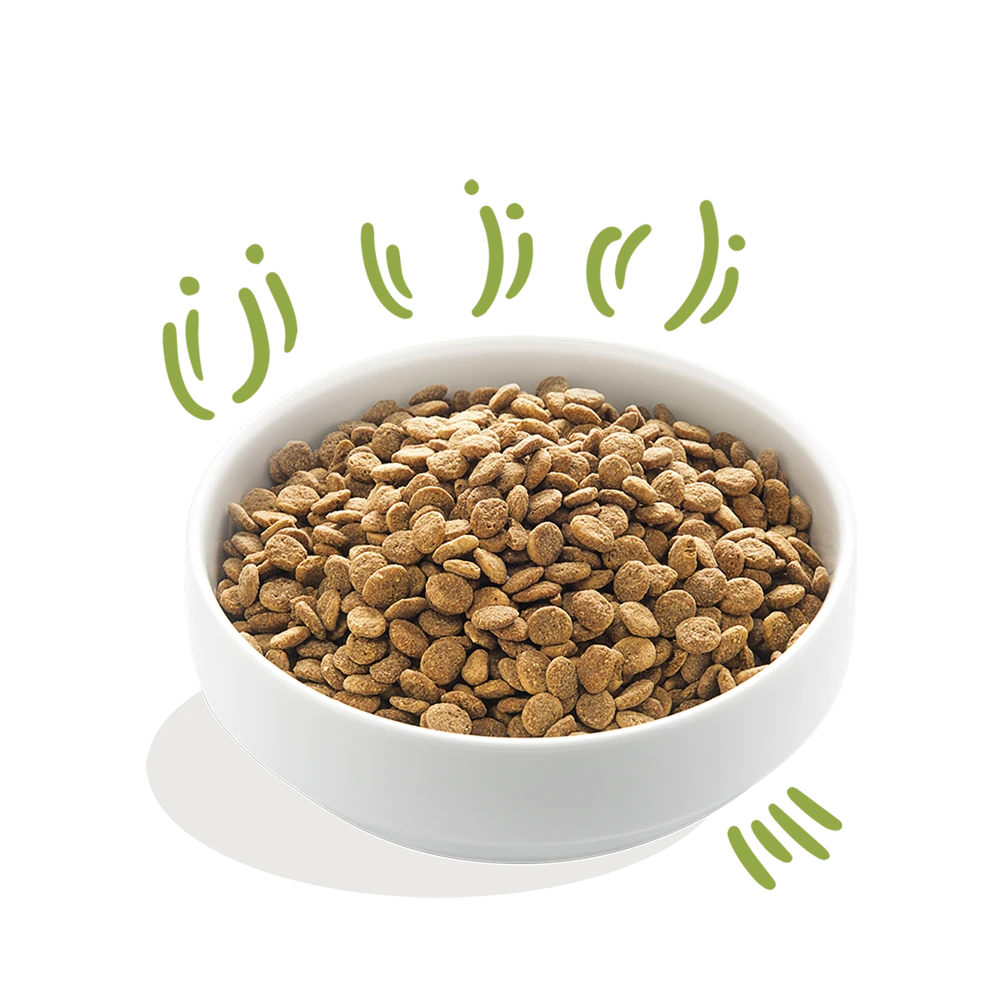 Edgard & Cooper - Verse Graslam - Volwassen - Hondenvoer - 12kg 5 Edgard & Cooper - Verse Graslam - Volwassen - Hondenvoer - 12kg - Afbeelding 3