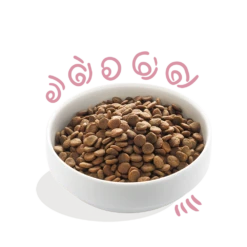 Edgard & Cooper - Verse Scharreleend & Kip - Puppyu2019s - Hondenvoer - 7kg -Pet Planet Verkoop edgard cooper scharreleend kip puppys hondenvoer 7kg 6 1