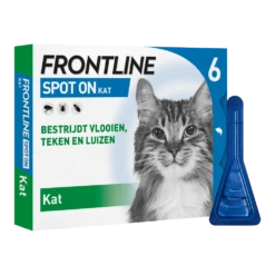 Frontline Spot On Kat - 6 Pipet - Anti Vlooein, Teken En Luizen