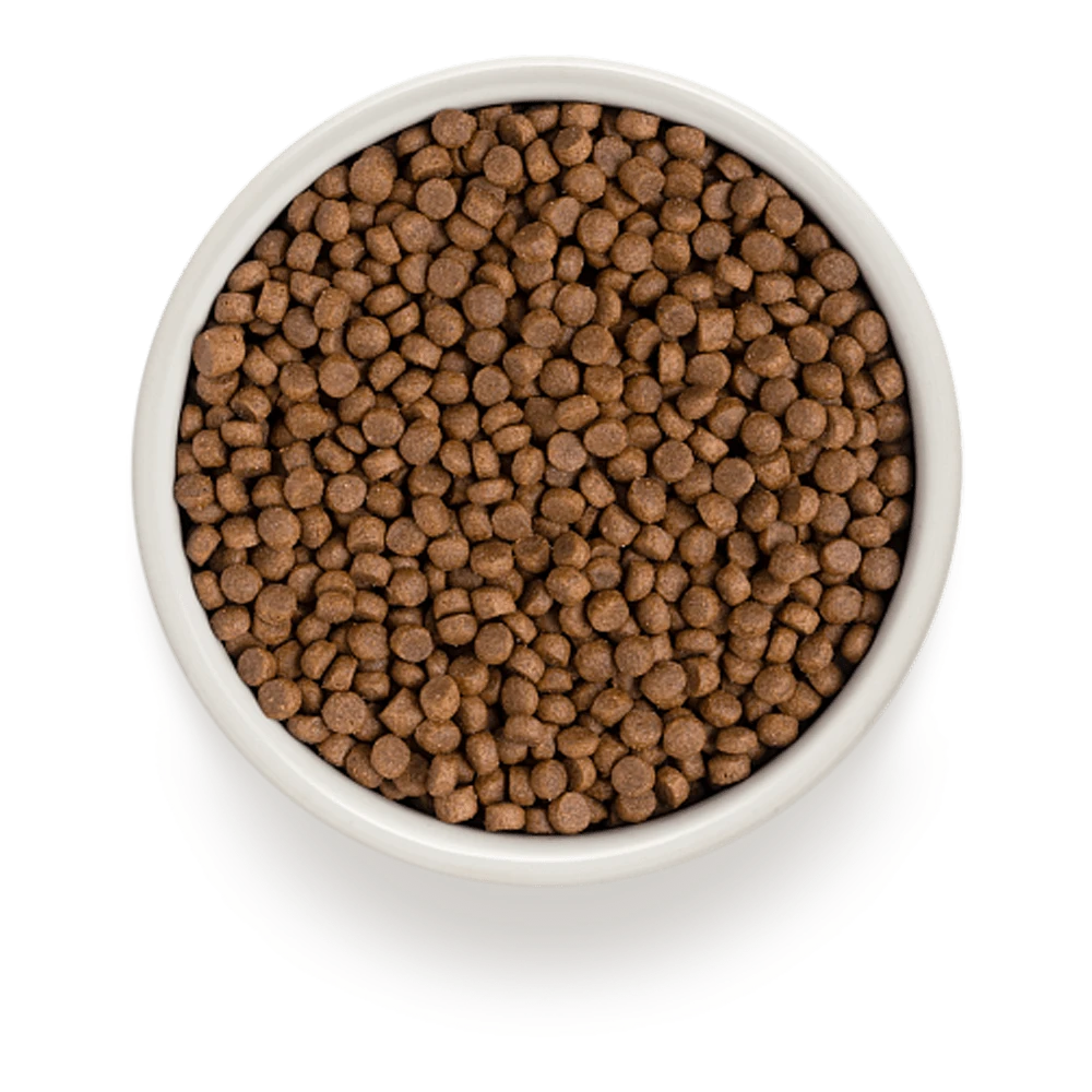 Grandorf Lam & Bruine Rijst Kitten - Kattenvoer - 2kg 4 Grandorf Lam & Bruine Rijst Kitten - Kattenvoer - 2kg - Afbeelding 2