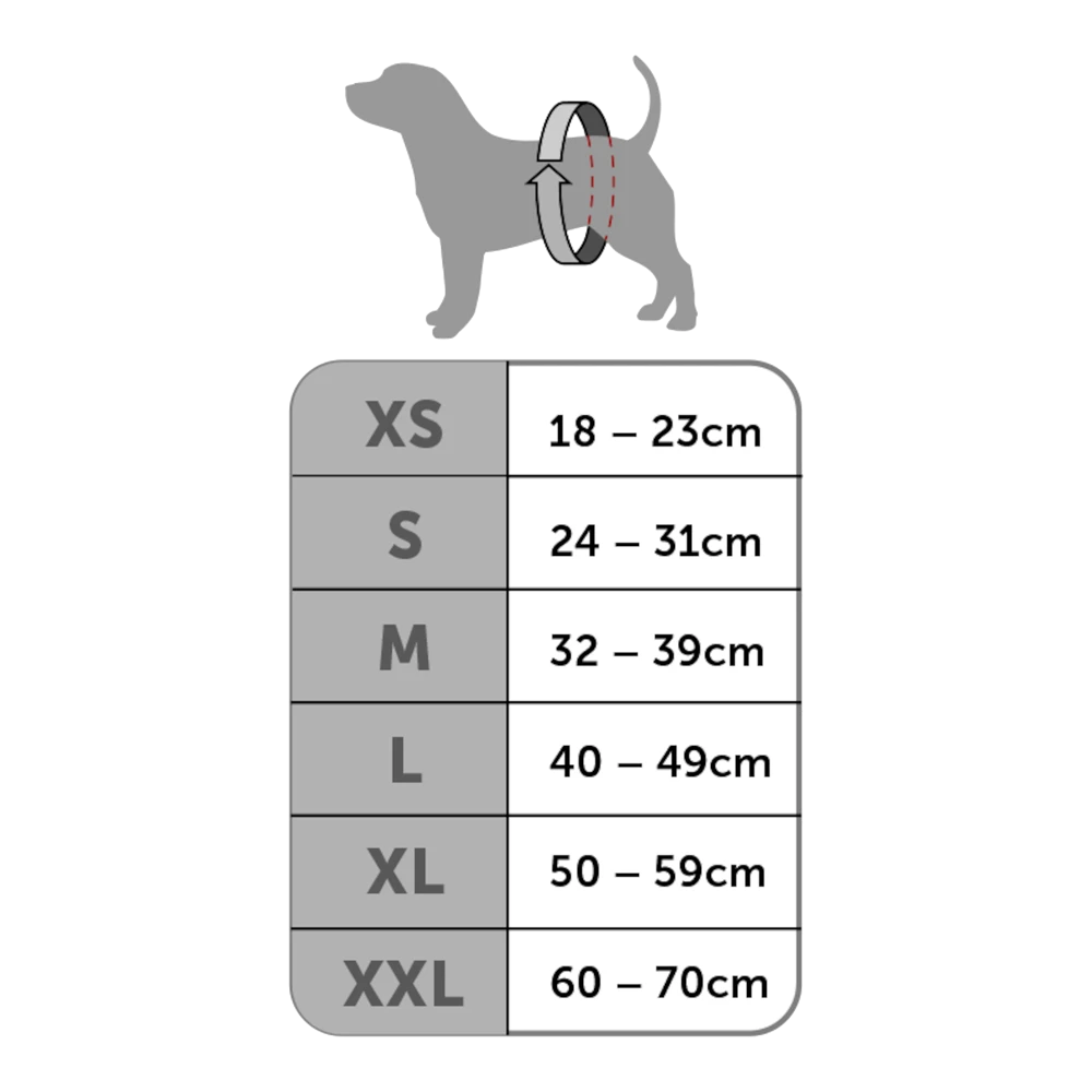 Flamingo Hondenslip Velcro - S - Zwart - Hondenonderbroek 5 Flamingo Hondenslip Velcro - S - Zwart - Hondenonderbroek - Afbeelding 3