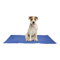 Flamingo Koelmat Fresk Rechthoek - M - 70x50cm - Blauw