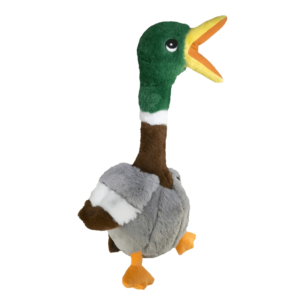 Kong Shakers Honkers Eend - L 3 Kong Shakers Honkers Eend - L