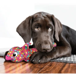 Kong Wubba Finz - L - Blauw 7 Kong Wubba Finz - L - Blauw -Pet Planet Verkoop kong wubba finz l blauw 3 2