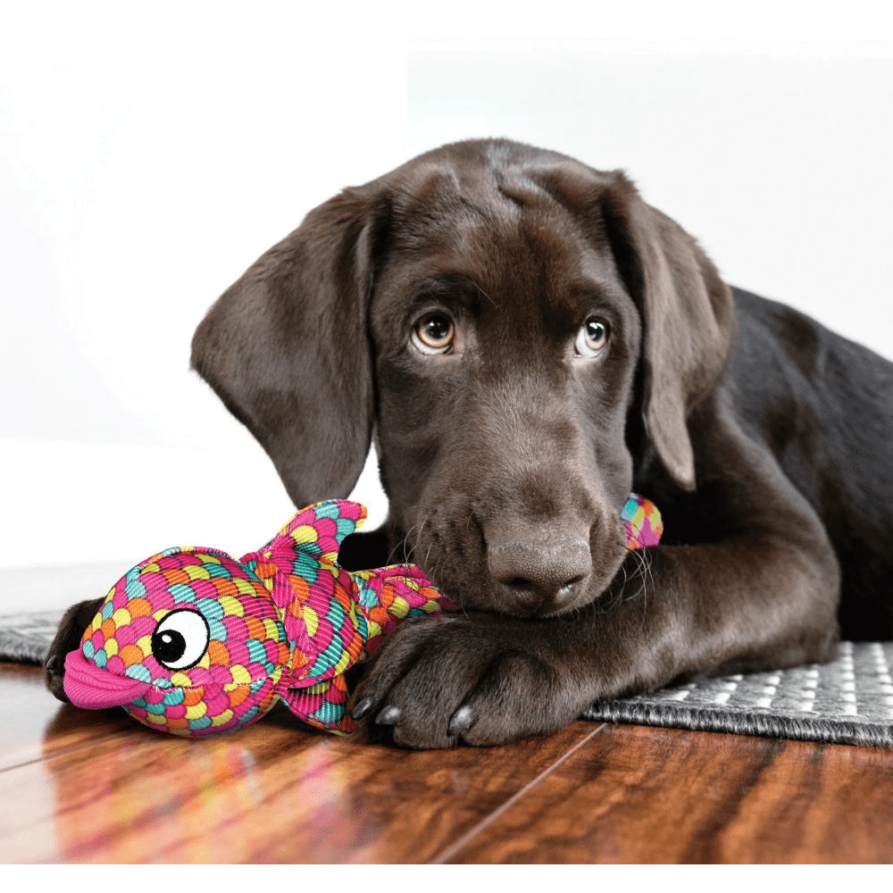 Kong Wubba Finz - L - Blauw 5 Kong Wubba Finz - L - Blauw - Afbeelding 3