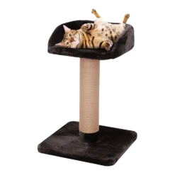 Flamingo Krabpaal Goliath 2 - Bruin - 60x60x89cm 8 Flamingo Krabpaal Goliath 2 - Bruin - 60x60x89cm -Pet Planet Verkoop krabpaal goliath 2 bruin 60x60x89cm flamingo 3