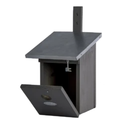 Nestkast Koolmees Grijs 7 Nestkast Koolmees Grijs -Pet Planet Verkoop nestkast koolmees grijs best for birds 3 1