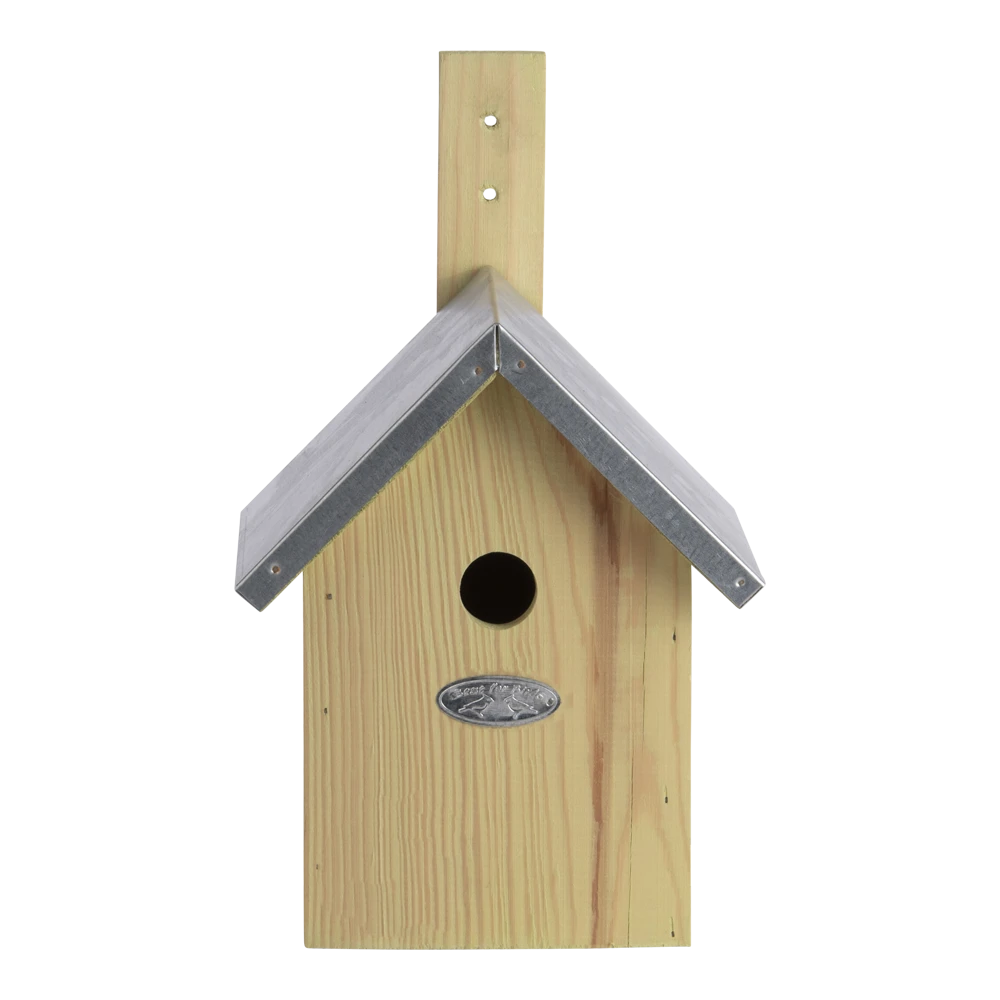 Nestkast Pimpelmees 5 Nestkast Pimpelmees - Afbeelding 3