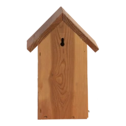 Nestkast Pimpelmees Douglas Hout -Pet Planet Verkoop nestkast pimpelmees douglas hout best for birds 3 1