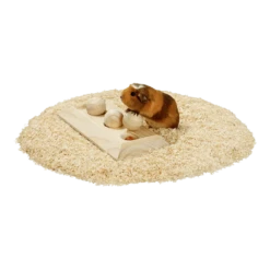 Pet Planet Verkoop -Pet Planet Verkoop rody brain train bord met 3 kogels 2