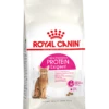 ROYAL CANINu00ae Protein Exigent - Volwassen - Kattenvoer - 2kg 1 ROYAL CANINu00ae Protein Exigent - Volwassen - Kattenvoer - 2kg -Pet Planet Verkoop royal canin protein exigent volwassen 2kg kattenvoer 1 1