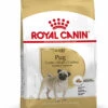 ROYAL CANINu00ae Pug (mopshond) Adult - Hondenvoer - 1,5kg -Pet Planet Verkoop royal canin pug mopshond adult 1 5kg hondenvoer 1 2