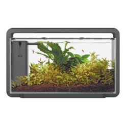Superfish Aquarium Home 30 - Zwart