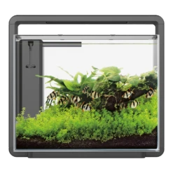 Superfish Aquarium Home 45 - Zwart