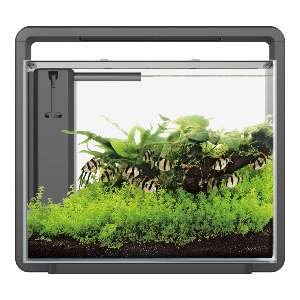 Superfish Aquarium Home 45 - Zwart 3 Superfish Aquarium Home 45 - Zwart