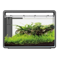 Superfish Aquarium Home 65 - Zwart