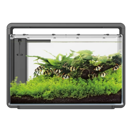 Superfish Aquarium Home 65 - Zwart -Pet Planet Verkoop superfish aquarium home 65 zwart 1 3