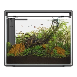 Superfish Aquarium Home 85 - Zwart