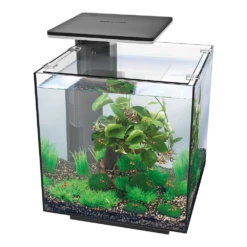 Superfish Aquarium QubiQ 30 PRO - Zwart