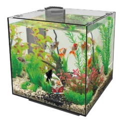 Superfish Aquarium QubiQ 30 - Zwart