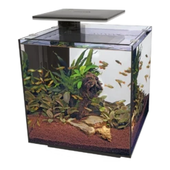 Superfish Aquarium QubiQ 60 PRO - Zwart