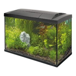 Superfish Aquarium Start 100 Goldfish Kit - Zwart