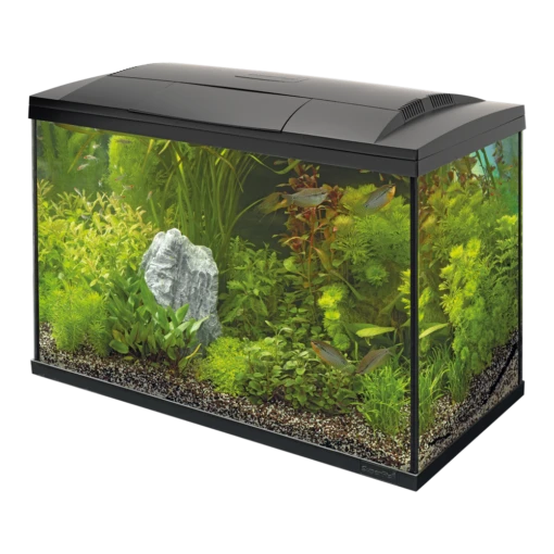 Superfish Aquarium Start 100 Goldfish Kit - Zwart -Pet Planet Verkoop superfish aquarium start 100 goldfish kit zwart 1 3