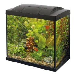 Superfish Aquarium Start 30 Goldfish Kit - Zwart