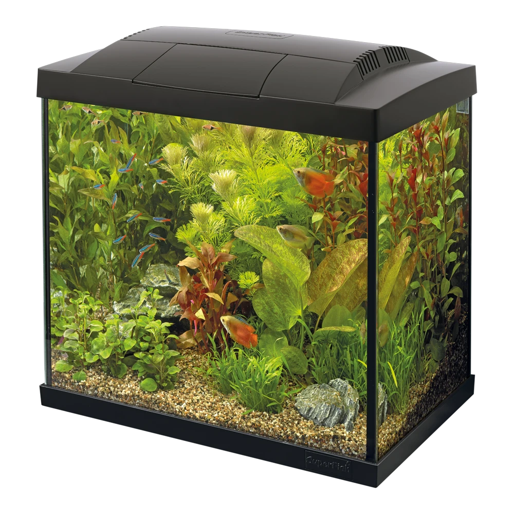 Superfish Aquarium Start 50 Goldfish Kit - Zwart 3 Superfish Aquarium Start 50 Goldfish Kit - Zwart