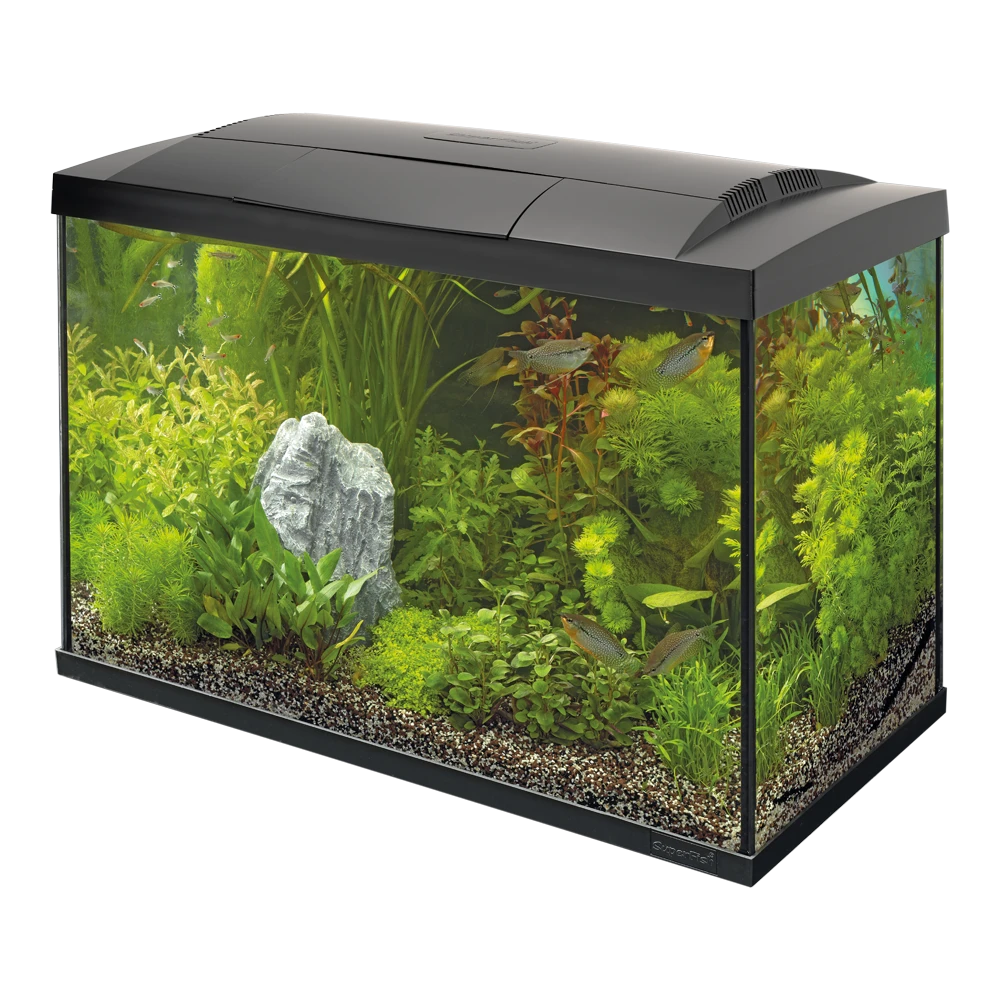 Superfish Aquarium Start 70 Goldfish Kit - Zwart 3 Superfish Aquarium Start 70 Goldfish Kit - Zwart