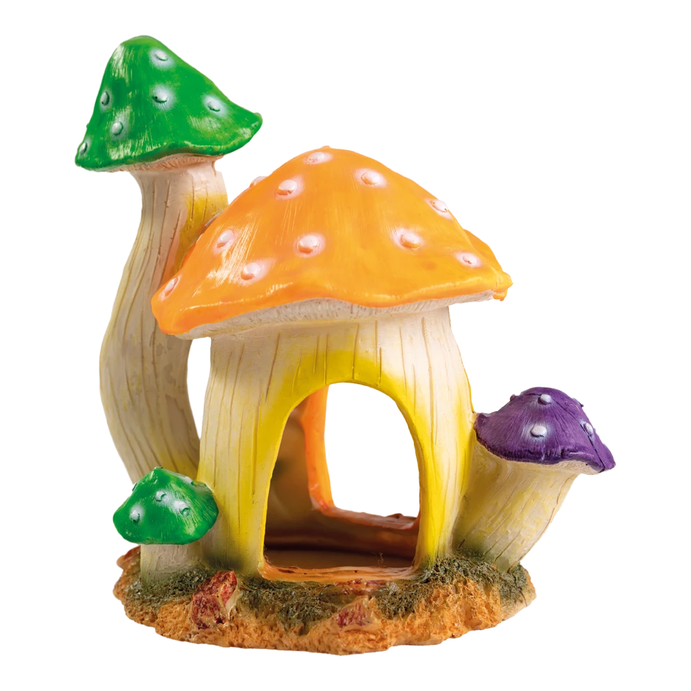 Superfish Mushroom House L 3 Superfish Mushroom House L